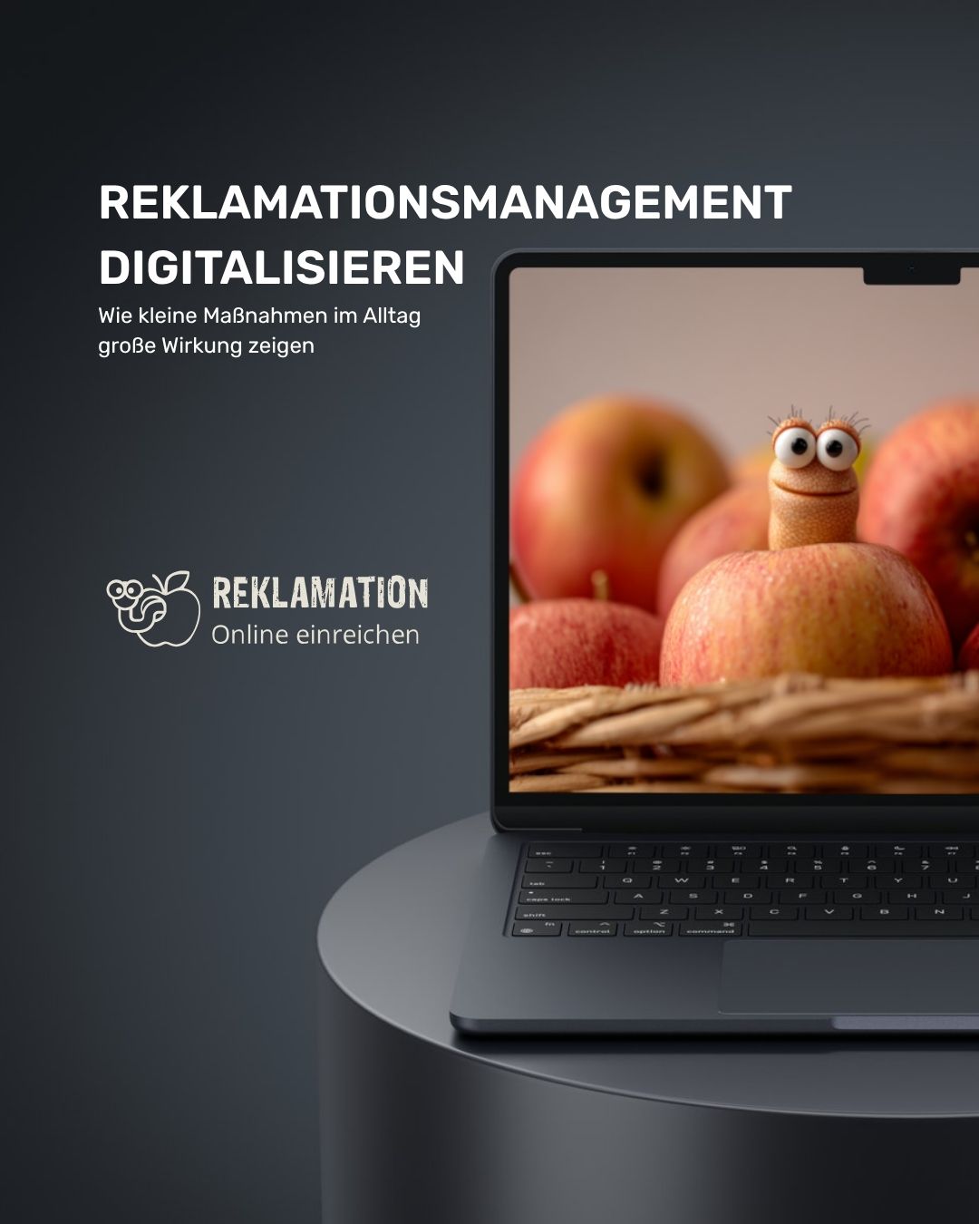 digitale Kundenkommunikation in der TGA-Branche Digitale Reklamationsprozesse bei Albert Schmidt