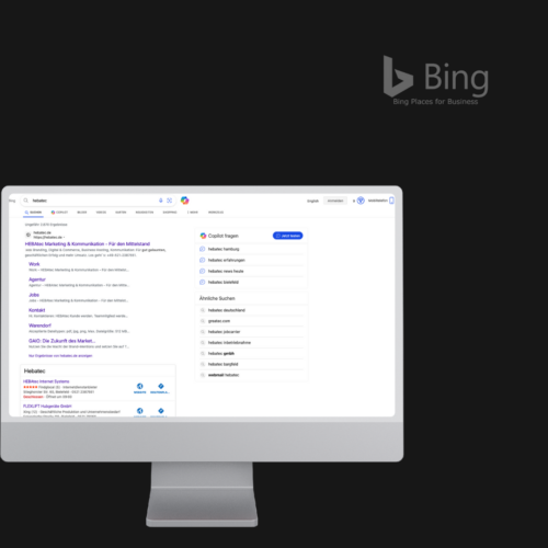 Bing Artikelbild